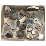 Group petrified wood, thunder eggs, mineral