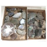Group petrified wood, thunder eggs, mineral