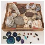 Group including thunder eggs, fossils, minerals,