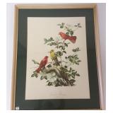 Framed signed Roger Tory Peterson #10 lithograph