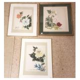 3 framed botanical paintings on silk - largest