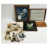 Group old photos, framed raptor related items,