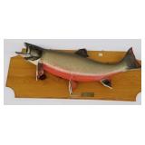 Large mounted trout 31" *