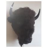 Bison head mount