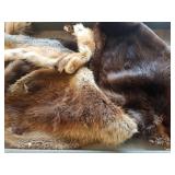 Group assorted pelts - bearer, etc.