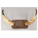 Antique scrimshawed horn wall plaque- Native