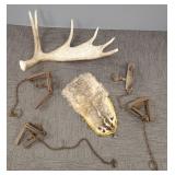 Gp. incl 4 metal traps incl Newhouse #1, moose