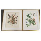 2 AB McPeake botanical watercolors- 22'H 19'W