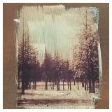 Signed & dated '06 artwork on copper- 20'H 16'W OD