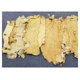 9 buckskin leather deer hides