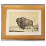 Vintage Catlin NA Indian Collection stone