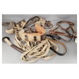 Gp horse harness, etc. some w/ fancy silvertone