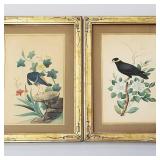 2 antique framed bird watercolor paintings-