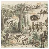 Antique Puck chromo litho-the original 'Four