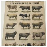 Large antique French colored litho 'Les Animaux