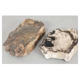 2 petrified wood specimens: 7' x 5' larger- approx