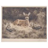 Vintage pencil signed etching doe & fawns-