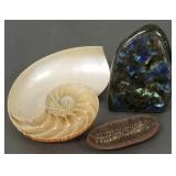 4 3/4' polished labradorite specimen, fossil &