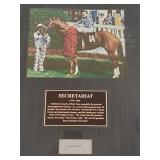 Framed Secretariat memorabilia with strands of