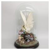 Victorian bird taxidermy in glass dome- 26'H 16'D