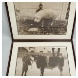 2 vintage G.N.Ry Co. enlarged animal photographs-