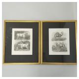 2 framed antique animal prints: Wild ox of