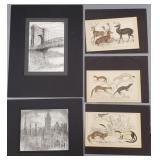 5 prints: 3 antique hand colored animals & 2 Carol