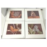 4 framed signed butterfly photos- 17" x 20" O.D.