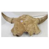 Partial ancient bison skull- healed wound-