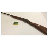 Winchester semi-auto .22 rifle for .22 auto