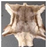 Reindeer hide 3 1/2