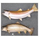 2 mounted fish 32" & 28" long