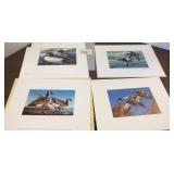 4 unframed Minnesota duck stamp prints 1978,