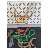 HORSE HALTER