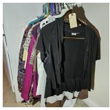 ASSTD LADIES DRESS SHIRTS