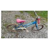 (5) BICYCLES