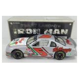 TERRY LABONTE IRON MAN 1:24 DIECAST CAR
