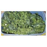 TOTE OF GREENERY W/ LIGHTS