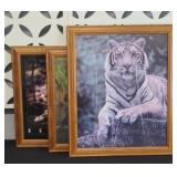 (3) TIGER PRINTS