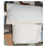 (2) PILLOWS