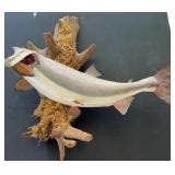 STEELHEAD FISH MOUNT