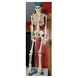 MINIATURE SKELETON MODEL