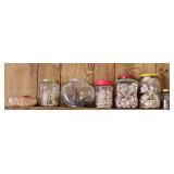 SHELL COLLECTION (ALT LOC)