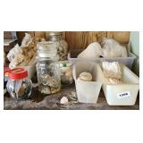 SHELLS & SEA DECOR (ALT LOC)