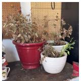 (3) PLANTERS