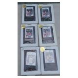 (6) MICHAEL JORDAN SPORT PLAQUE