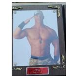 (5) SPORTS PLAQUES, JOHN CENA & OTHER WRELETS