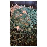 CHRISTMAS STRING LIGHT SETS, TOTE NOT INCLUDED