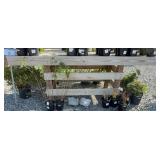 WOOD DISPLAY TABLE