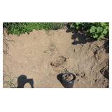 BULK DIRT